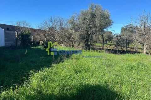 Helårsgrund i Castelo Branco, Castelo Branco, Castelo Branco - € 31.500 | Ref: 26015 - foto 2