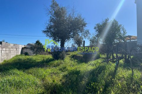 Helårsgrund i Castelo Branco, Castelo Branco, Castelo Branco - € 31.500 | Ref: 26015 - foto 4