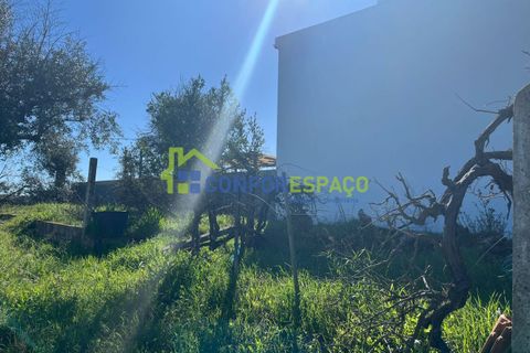 Helårsgrund i Castelo Branco, Castelo Branco, Castelo Branco - € 31.500 | Ref: 26015 - foto 5