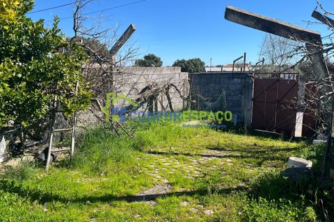 Helårsgrund i Castelo Branco, Castelo Branco, Castelo Branco - € 31.500 | Ref: 26015 - foto 12