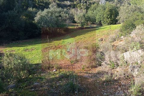 Helårsgrund i Estoi, Faro, Estoi - € 55.000 | Ref: 170260022 - foto 1