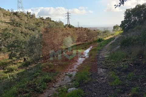 Helårsgrund i Estoi, Faro, Estoi - € 55.000 | Ref: 170260022 - foto 6