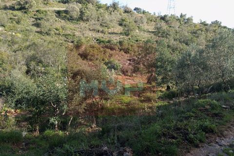 Helårsgrund i Estoi, Faro, Estoi - € 55.000 | Ref: 170260022 - foto 7
