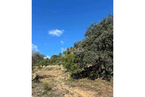 Helårsgrund i Estoi, Faro, Estoi - € 55.000 | Ref: 170260022 - foto 8