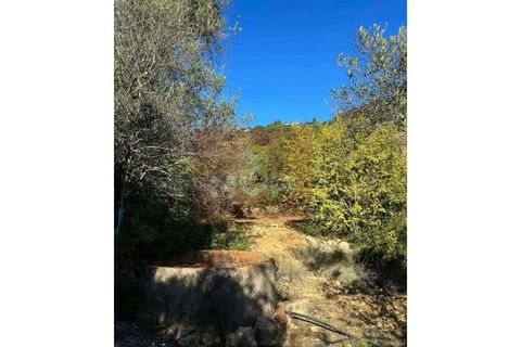 Helårsgrund i Estoi, Faro, Estoi - € 55.000 | Ref: 170260022 - foto 9