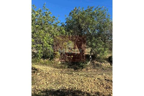 Helårsgrund i Estoi, Faro, Estoi - € 55.000 | Ref: 170260022 - foto 10