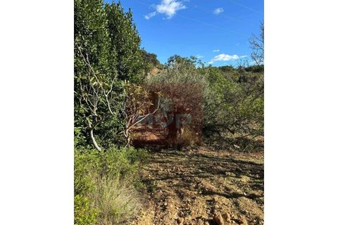 Helårsgrund i Estoi, Faro, Estoi - € 55.000 | Ref: 170260022 - foto 11