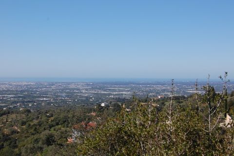 Helårsgrund i Estoi, Faro, Estoi - € 65.000 | Ref: VC-0966 - foto 2