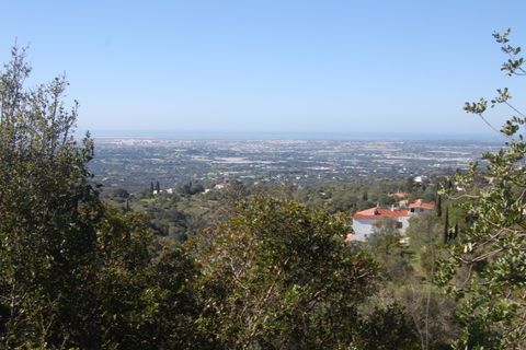 Helårsgrund i Estoi, Faro, Estoi - € 65.000 | Ref: VC-0966 - foto 3