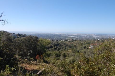 Helårsgrund i Estoi, Faro, Estoi - € 65.000 | Ref: VC-0966 - foto 8