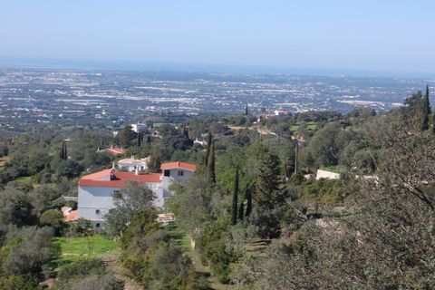 Helårsgrund i Estoi, Faro, Estoi - € 65.000 | Ref: VC-0966 - foto 10