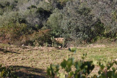Helårsgrund i Estoi, Faro, Estoi - € 65.000 | Ref: VC-0966 - foto 11