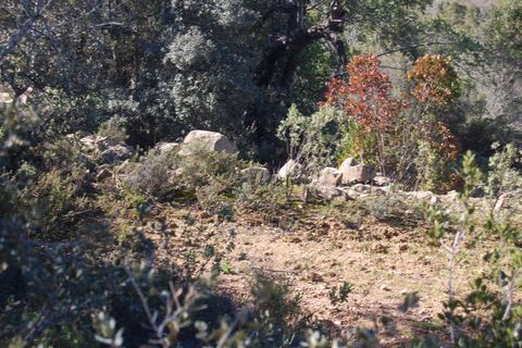 Helårsgrund i Estoi, Faro, Estoi - € 65.000 | Ref: VC-0966 - foto 12