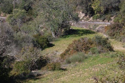 Helårsgrund i Estoi, Faro, Estoi - € 65.000 | Ref: VC-0966 - foto 13