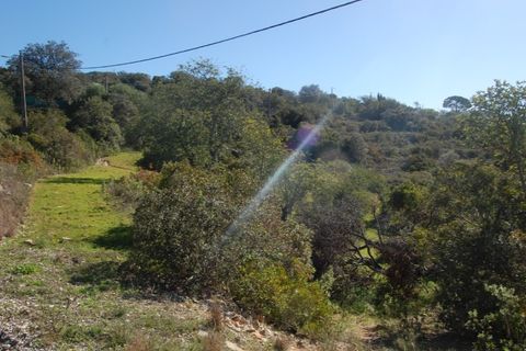 Helårsgrund i Estoi, Faro, Estoi - € 65.000 | Ref: VC-0966 - foto 14