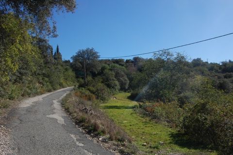 Helårsgrund i Estoi, Faro, Estoi - € 65.000 | Ref: VC-0966 - foto 15