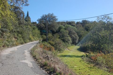 Helårsgrund i Estoi, Faro, Estoi - € 65.000 | Ref: VC-0966 - foto 16