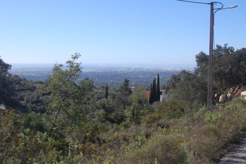 Helårsgrund i Estoi, Faro, Estoi - € 65.000 | Ref: VC-0966 - foto 17