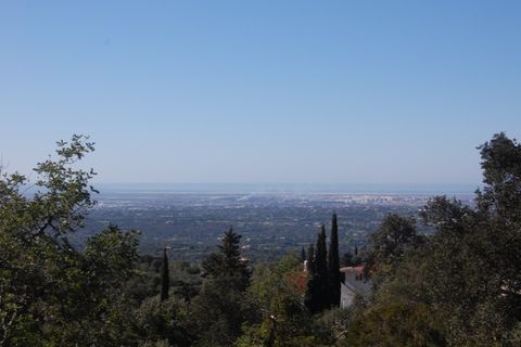 Helårsgrund i Estoi, Faro, Estoi - € 65.000 | Ref: VC-0966 - foto 18