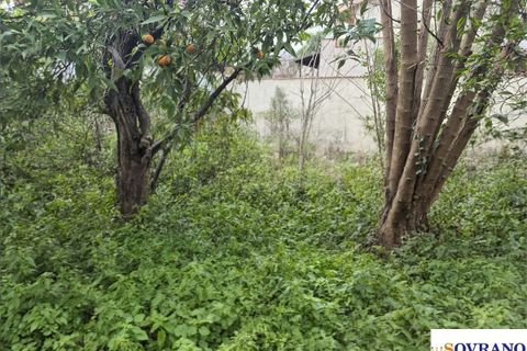 Helårsgrund i Palermo, Palermo, Palermo - € 220.000 | Ref: U 28/26 - foto 5