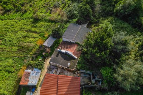 Villa i Coimbra, Coimbra, Coimbra - € 65.000 | Ref: C0372-01788 - foto 6