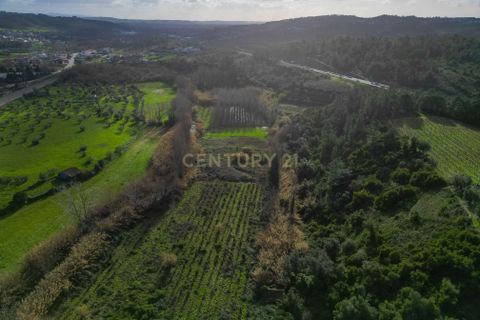 Villa i Coimbra, Coimbra, Coimbra - € 65.000 | Ref: C0372-01788 - foto 7