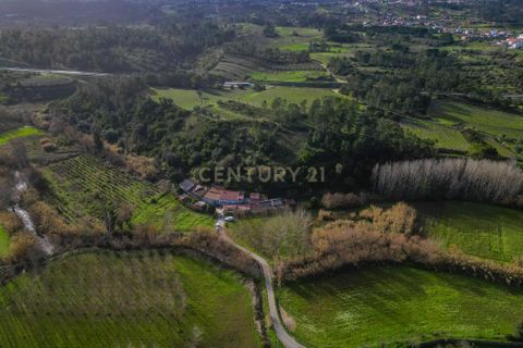 Villa i Coimbra, Coimbra, Coimbra - € 65.000 | Ref: C0372-01788 - foto 9