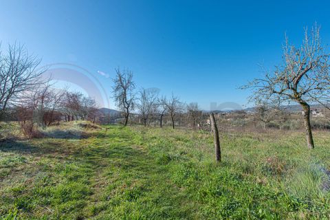 Villa a Arpino, Frosinone, Arpino - € 159.000 | Ref: AC99-149-1713 - foto 38