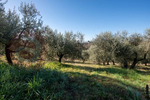Villa a Arpino, Frosinone, Arpino - € 159.000 | Ref: AC99-149-1713 - foto 42