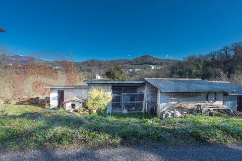 Villa a Arpino, Frosinone, Arpino - € 159.000 | Ref: AC99-149-1713 - foto 49