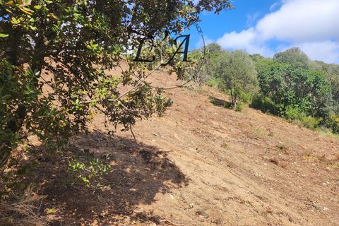 Terra a Alata, Corse-du-Sud, Alata - € 140.000 | Ref: IREM000998ALAB - foto 2