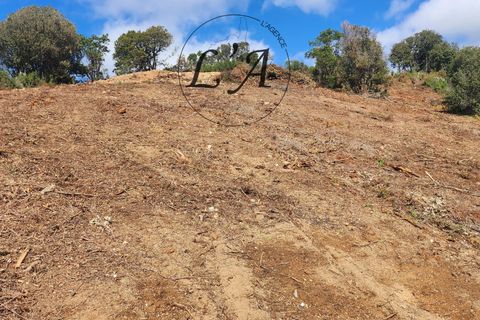 Terra a Alata, Corse-du-Sud, Alata - € 140.000 | Ref: IREM000998ALAB - foto 3