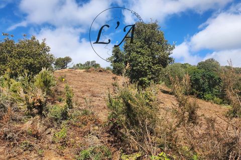 Terra a Alata, Corse-du-Sud, Alata - € 140.000 | Ref: IREM000998ALAB - foto 5