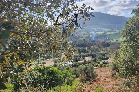 Terra a Alata, Corse-du-Sud, Alata - € 140.000 | Ref: IREM000998ALAB - foto 9