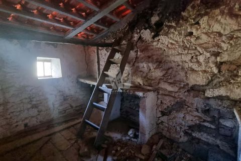 Ruinere i Castelo Branco, Castelo Branco, Castelo Branco - € 12.000 | Ref: H770 - foto 4