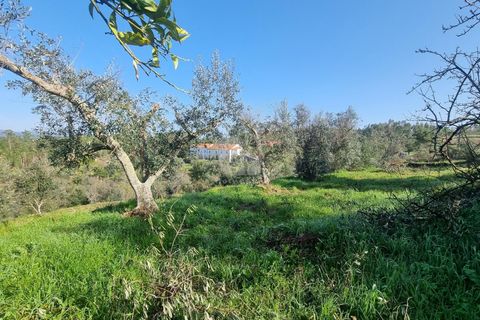 Ruinere i Castelo Branco, Castelo Branco, Castelo Branco - € 12.000 | Ref: H770 - foto 10