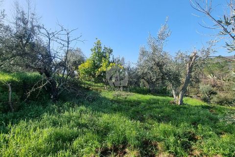 Ruinere i Castelo Branco, Castelo Branco, Castelo Branco - € 12.000 | Ref: H770 - foto 11