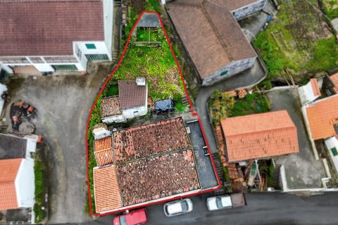 Byhus i Lajes do Pico, Pico, Lajes do Pico - € 189.000 | Ref: 374250319 - foto 17