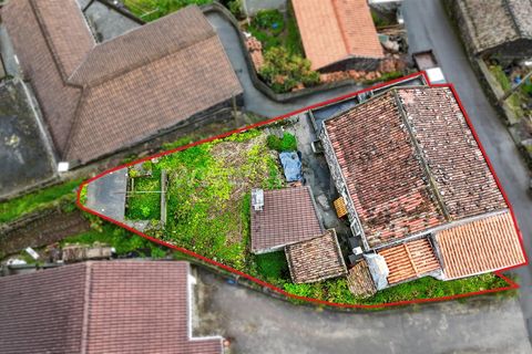 Byhus i Lajes do Pico, Pico, Lajes do Pico - € 189.000 | Ref: 374250319 - foto 18