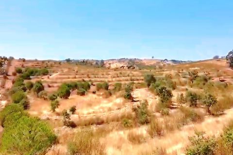 Helårsgrund i Almodovar, Beja, Almodovar - € 266.400 | Ref: C0505-00401 - foto 17
