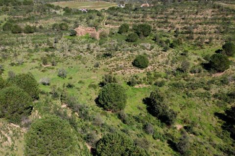 Helårsgrund i Almodovar, Beja, Almodovar - € 266.400 | Ref: C0505-00401 - foto 4