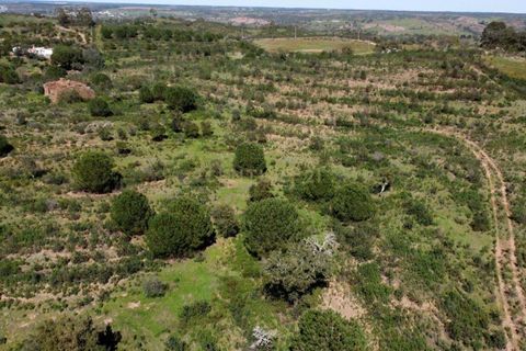 Helårsgrund i Almodovar, Beja, Almodovar - € 266.400 | Ref: C0505-00401 - foto 5