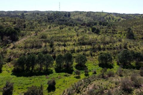 Helårsgrund i Almodovar, Beja, Almodovar - € 266.400 | Ref: C0505-00401 - foto 6