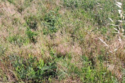 Helårsgrund i Amarante, Porto, Amarante - € 53.000 | Ref: C0478-00182 - foto 5