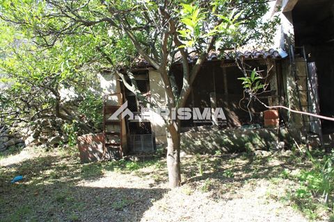 Byhus i Castelo Branco, Castelo Branco, Castelo Branco - € 58.900 | Ref: PP4683 - foto 4