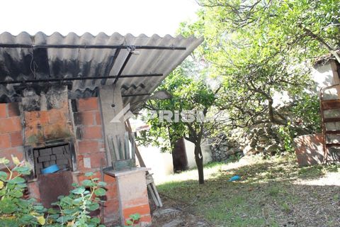 Byhus i Castelo Branco, Castelo Branco, Castelo Branco - € 58.900 | Ref: PP4683 - foto 16