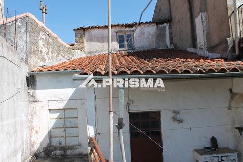 Byhus i Castelo Branco, Castelo Branco, Castelo Branco - € 58.900 | Ref: PP4683 - foto 19