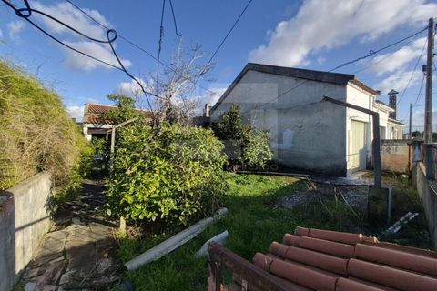 Villa i Quinta do Anjo, Setubal, Quinta do Anjo - € 175.000 | Ref: GX-409 - foto 3