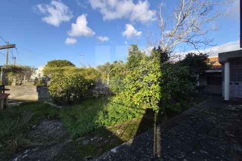 Villa i Quinta do Anjo, Setubal, Quinta do Anjo - € 175.000 | Ref: GX-409 - foto 5