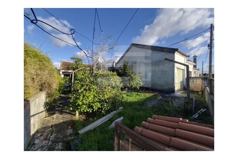 Villa i Quinta do Anjo, Setubal, Quinta do Anjo - € 175.000 | Ref: GX-409 - foto 21